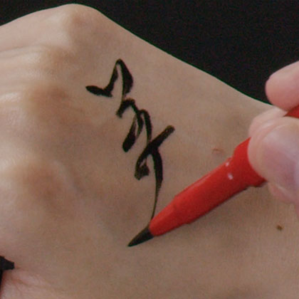 new japanese formula