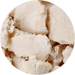 sake extract